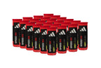 Adidas Speed RX Padel Balls — Box of 24 Cans (72 Balls) - The Padel Market